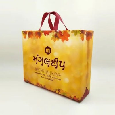 Elegant Nonwoven Laminated Box Bag 优雅的无纺布