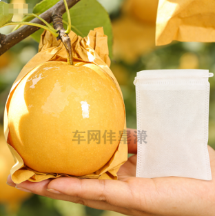 厂家直供 加厚防水透气无纺布水果套袋 苹果梨桃葡萄通用型（送扎丝）